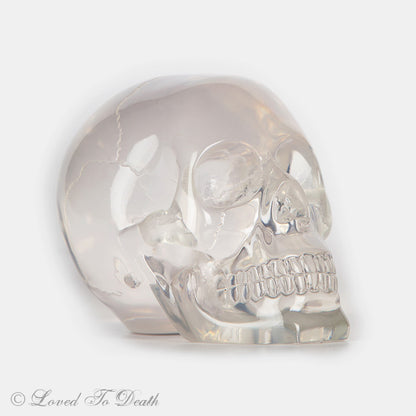 Translucent Skull