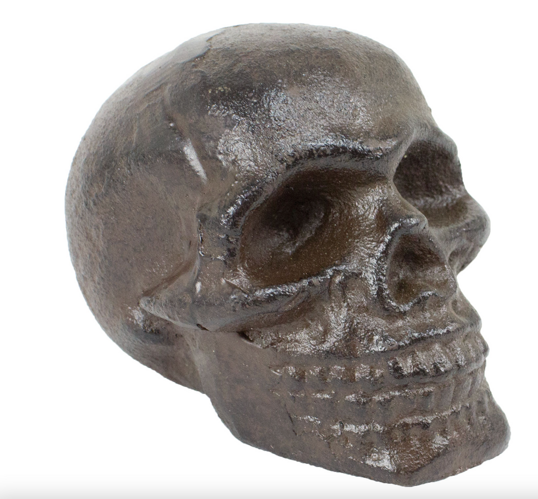 Cast Iron Skull