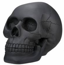 Load image into Gallery viewer, Black Matte Human Skull
