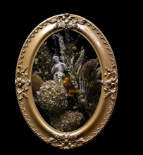 Load image into Gallery viewer, { AEQUINOCTIUM } Original Photograph in Victorian Bubble Glass Frame
