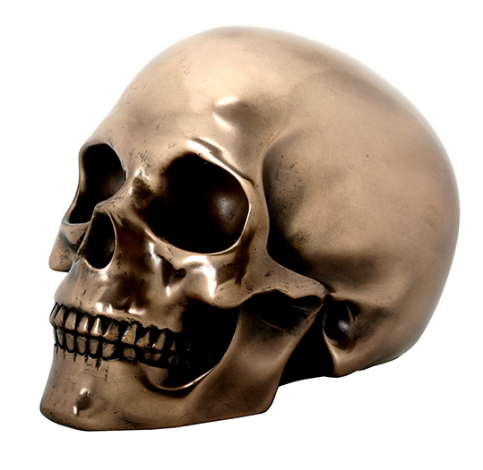 Resin Bronze Cast Human Skull