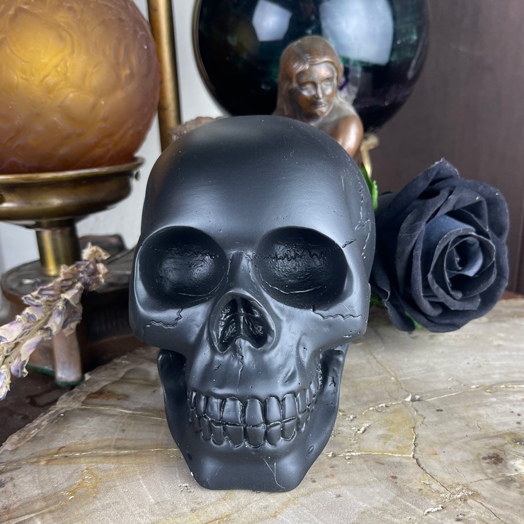 Black Matte Human Skull