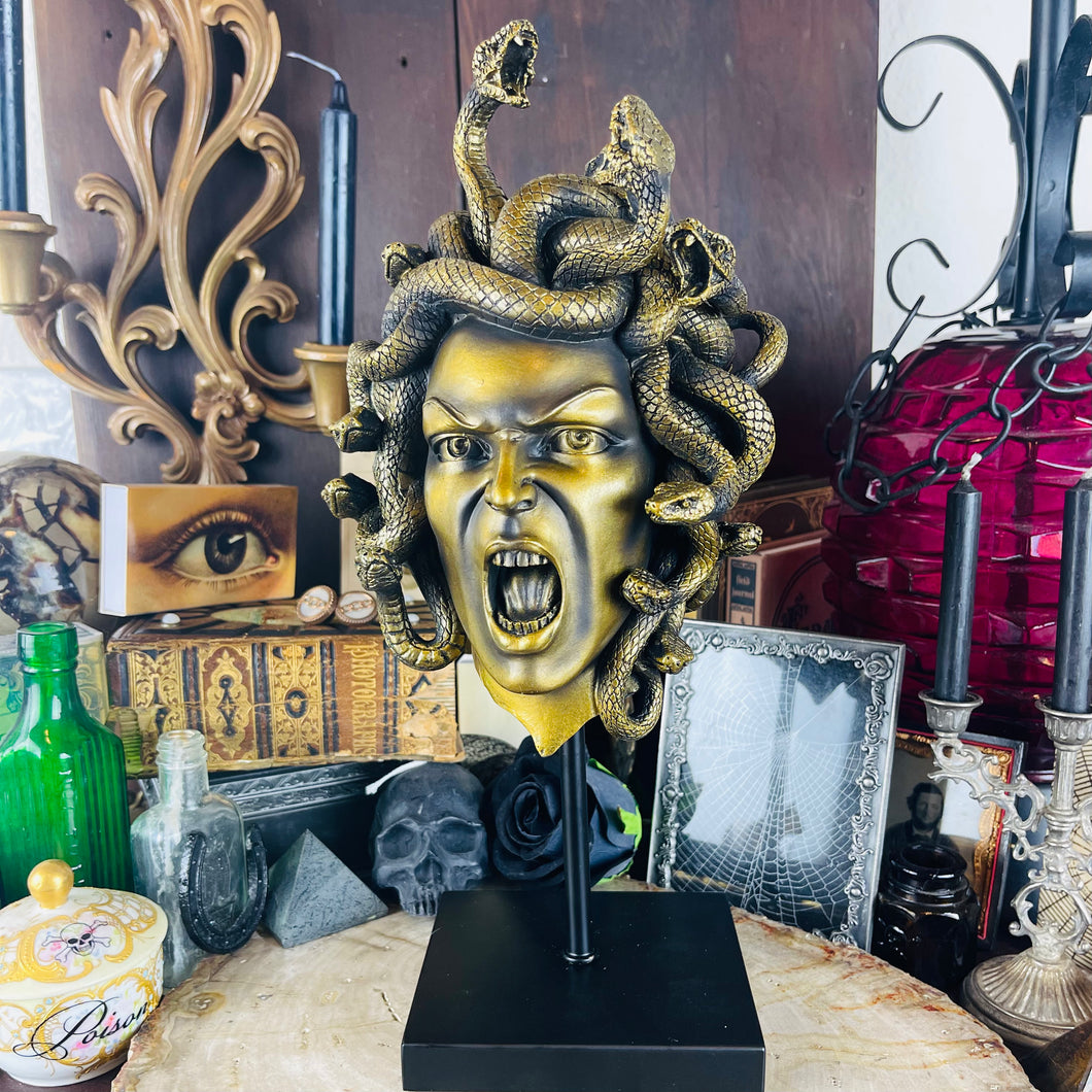 Medusa on Stand