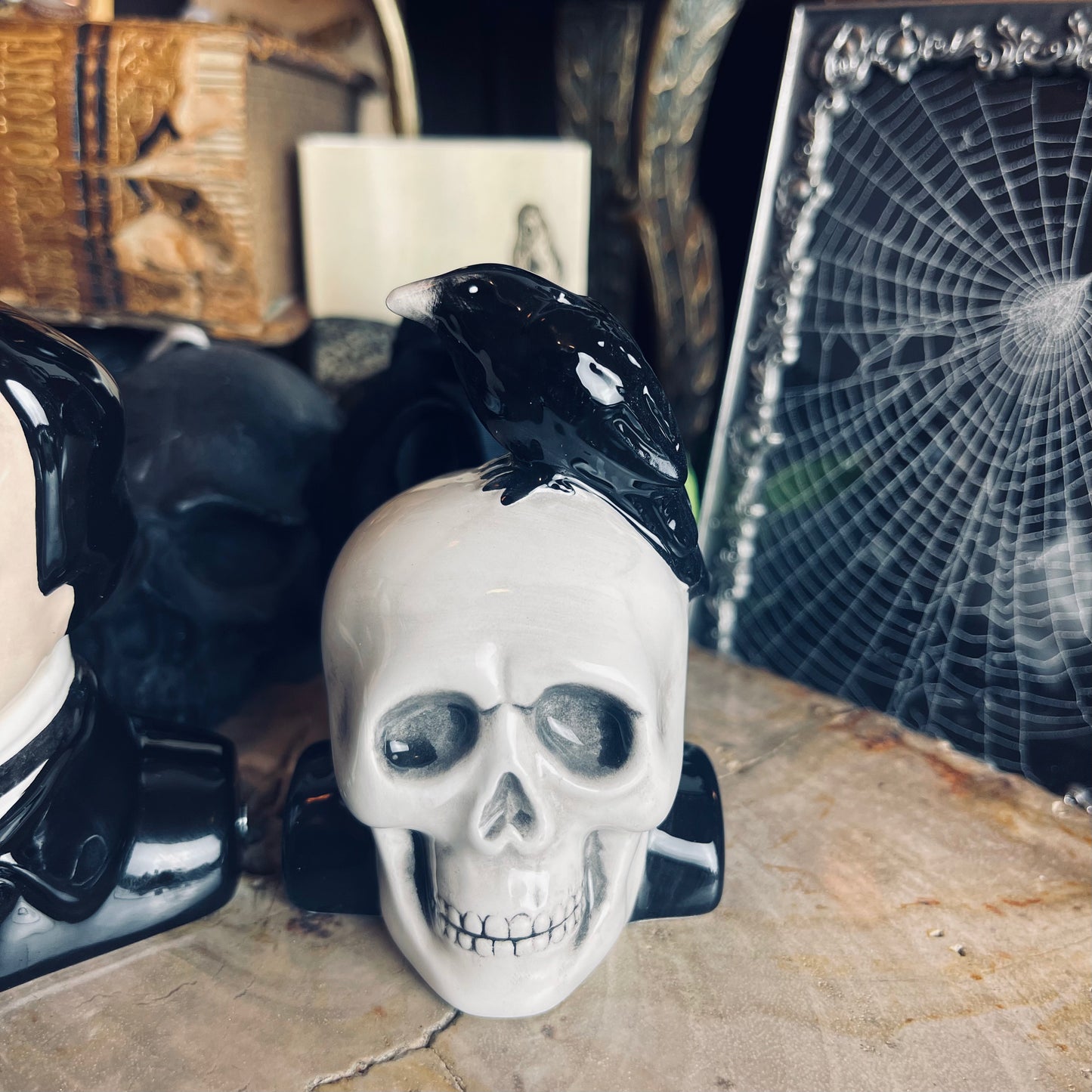Poe & Raven on Skull Salt & Pepper Set