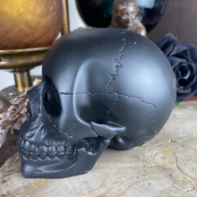 Load image into Gallery viewer, Black Matte Human Skull
