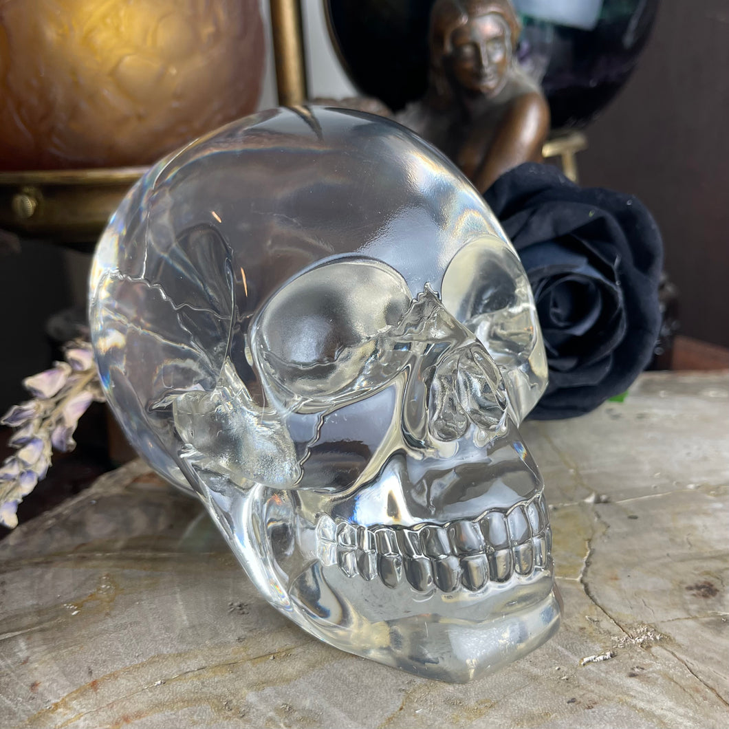 Translucent Skull