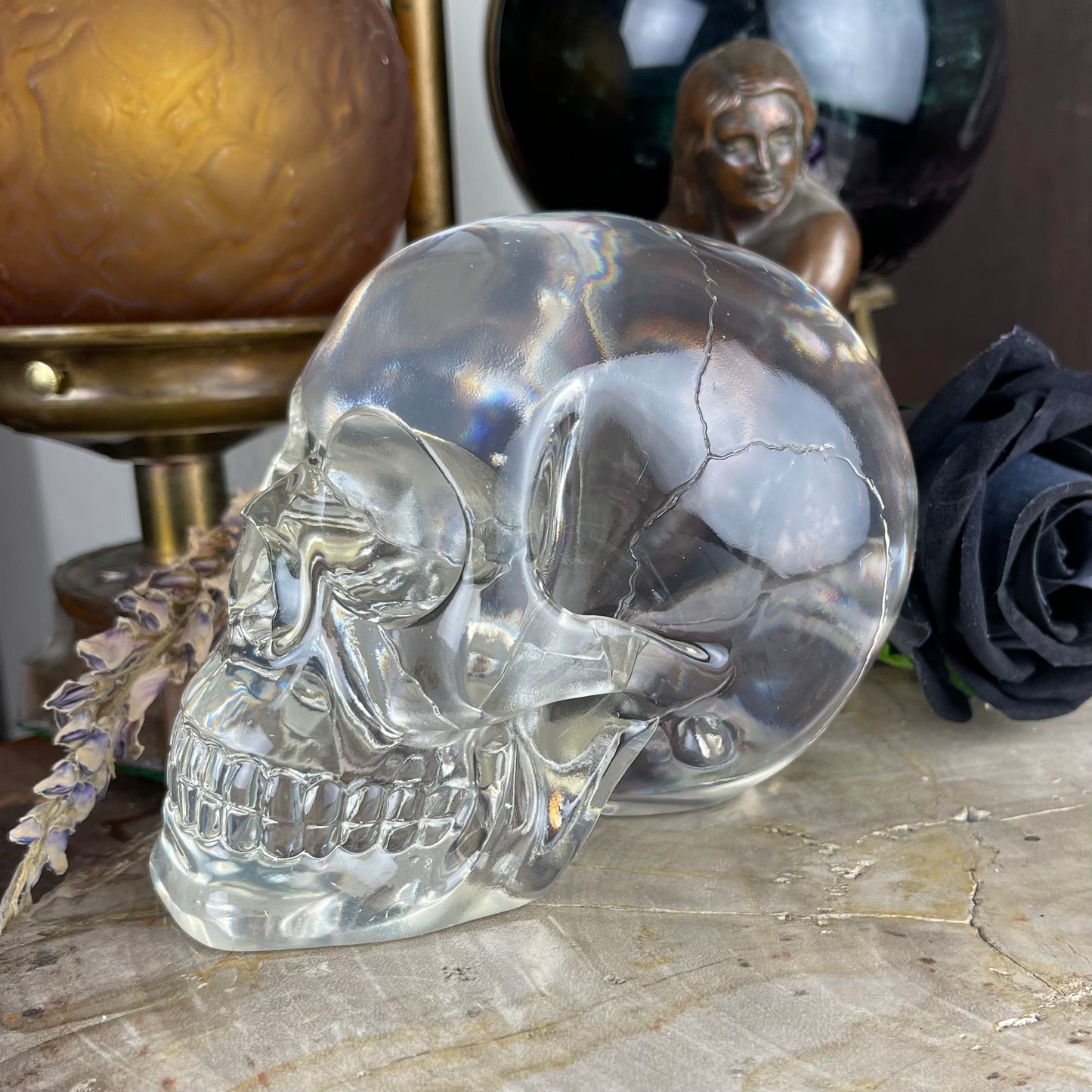 Translucent Skull