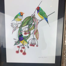 Load image into Gallery viewer, { Ghouldian Finches } Giclee Print By Rachel Diaz-Bastin
