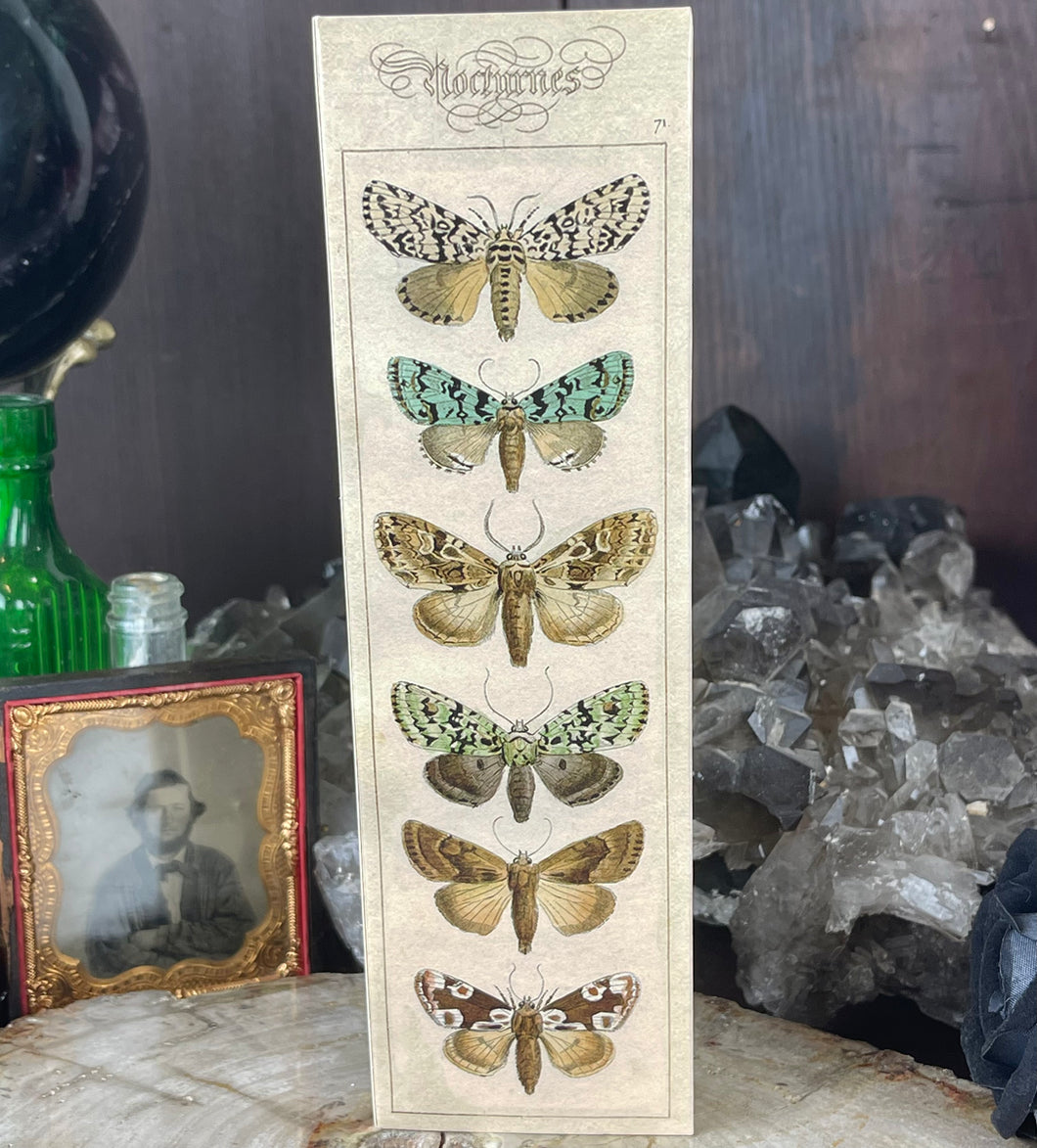 Nocturne Moth Long Matches