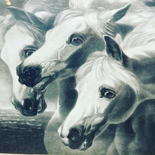 Load image into Gallery viewer, Victorian Wood Framed Pharaoh’s Horses Print
