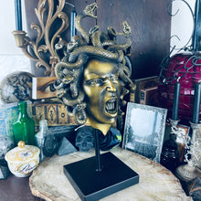 Load image into Gallery viewer, Medusa on Stand
