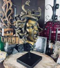 Load image into Gallery viewer, Medusa on Stand
