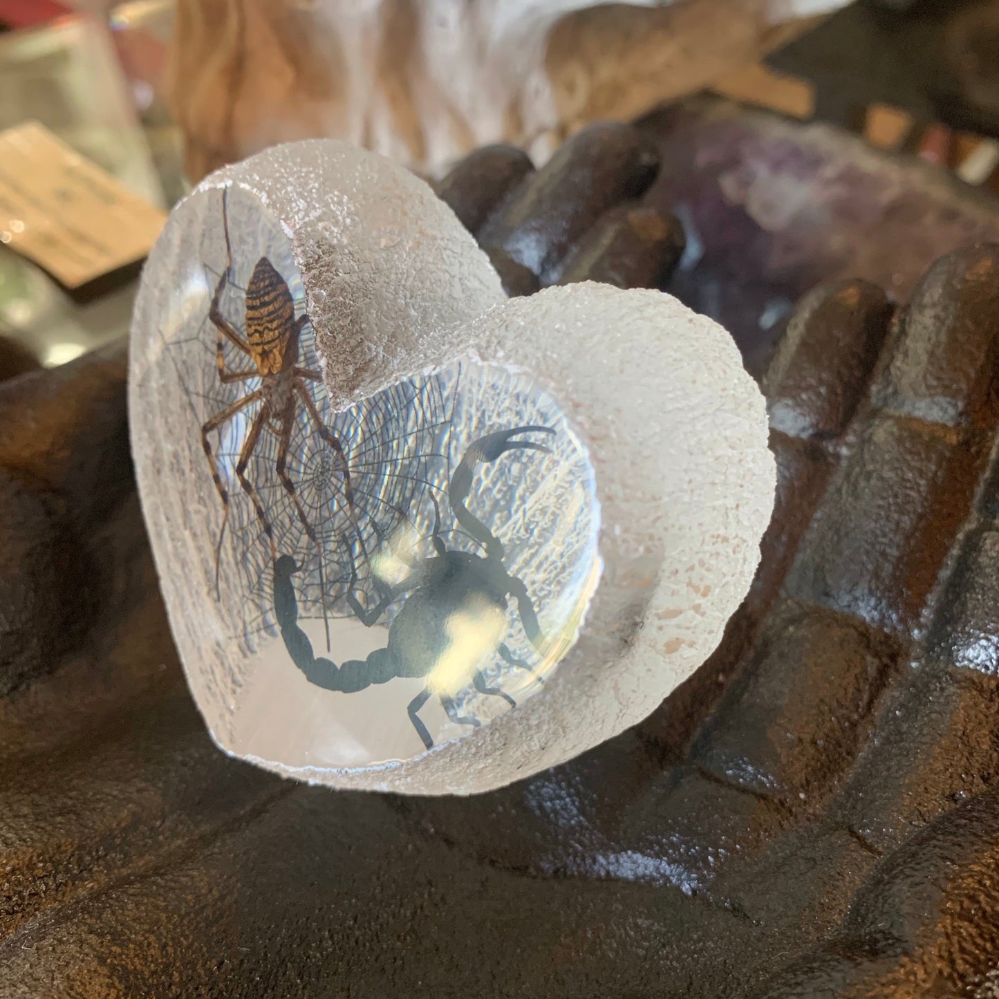 Scorpion Spider Lovers Specimen in Lucite Heart - Loved To Death