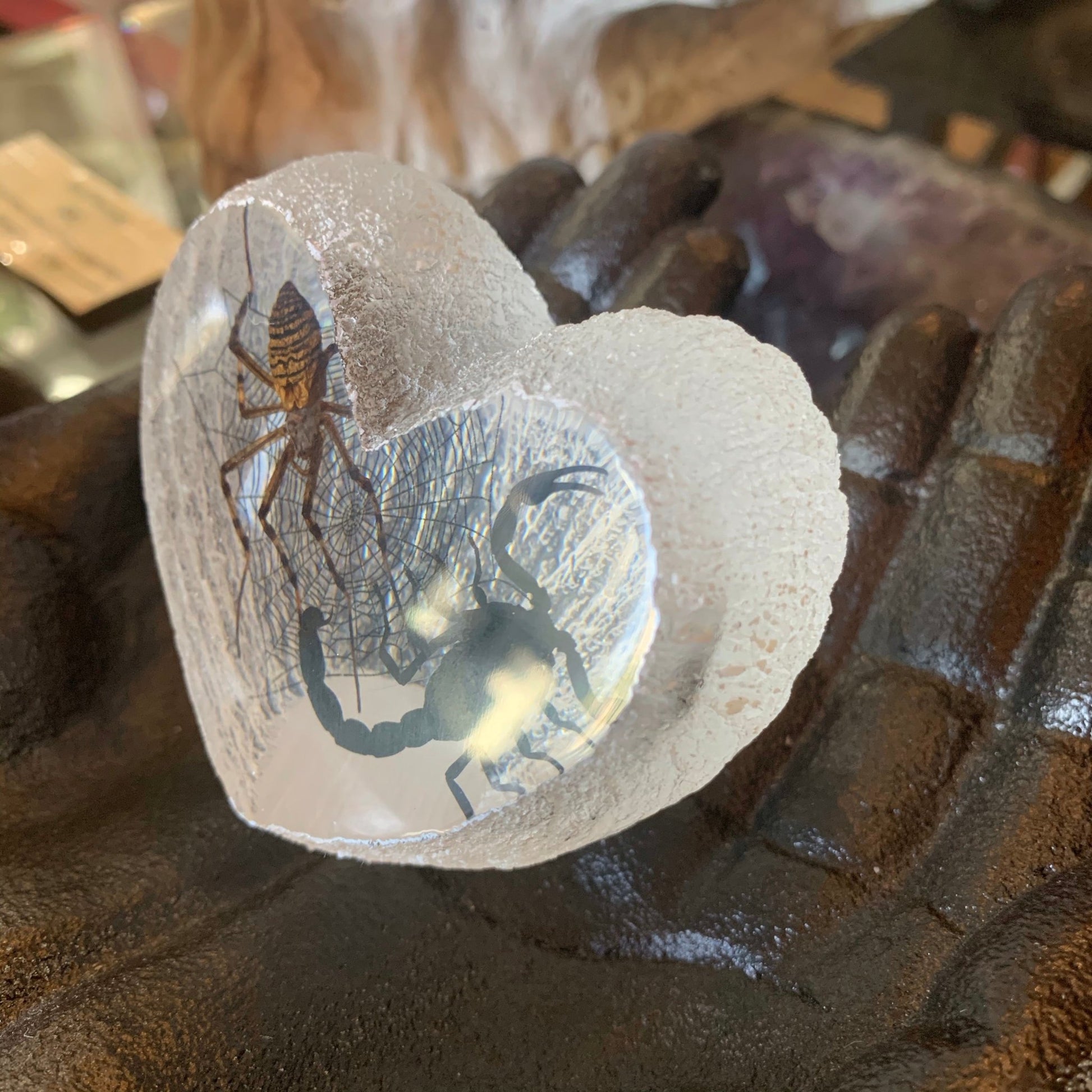 Scorpion Spider Lovers Specimen in Lucite Heart - Loved To Death