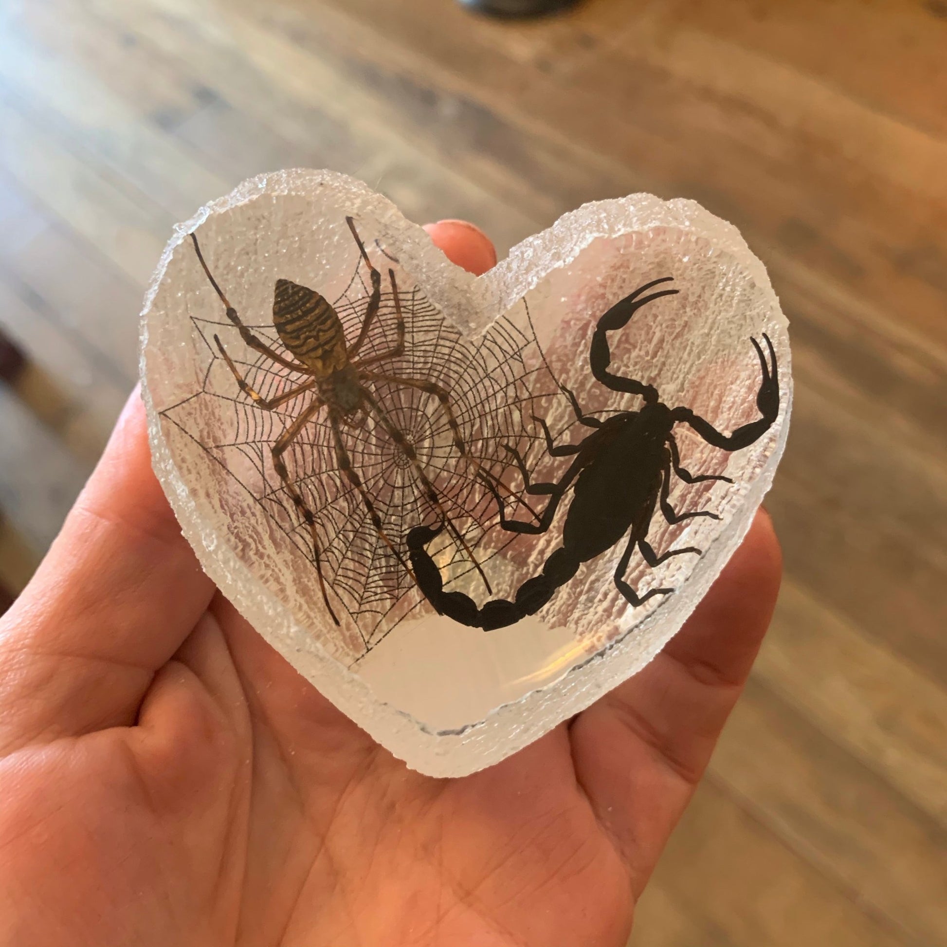 Scorpion Spider Lovers Specimen in Lucite Heart - Loved To Death