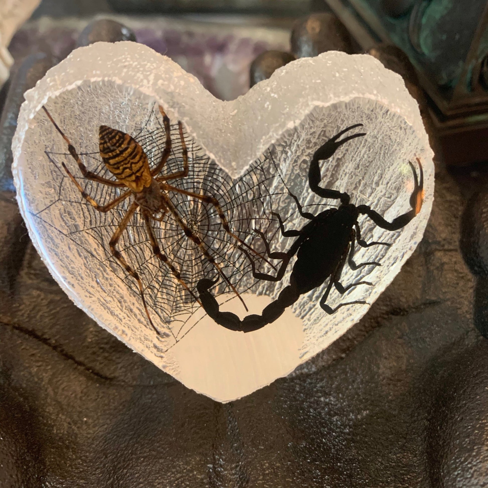 Scorpion Spider Lovers Specimen in Lucite Heart - Loved To Death